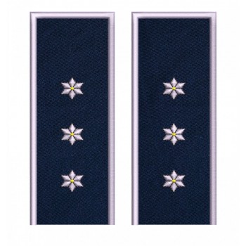 GRADE INSPECTOR PRINCIPAL POLITIE IGPR